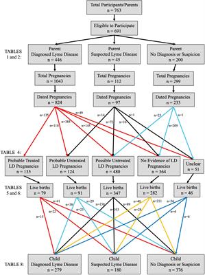 Lyme borreliosis in pregnancy and associations with parent and offspring health outcomes: An international cross-sectional survey